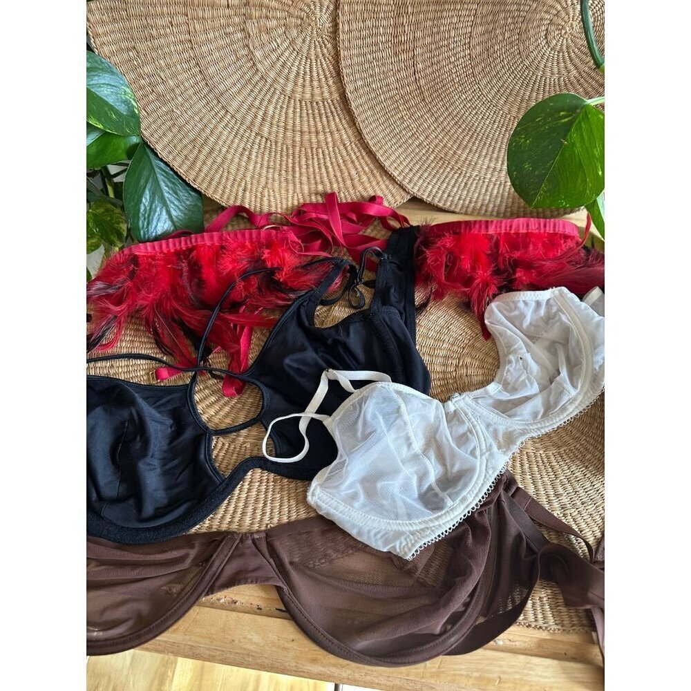 4 piece Women’s bra lingerie lot